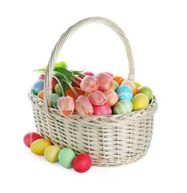 Boyanmış Paskalya yumurtaları ve hasır sepetin içindeki güzel laleler beyaza izole edilmiş.