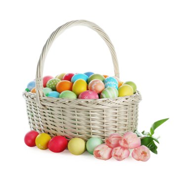 Hasır sepete boyanmış Paskalya yumurtaları ve beyaza izole edilmiş güzel laleler.