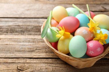 Boyanmış Paskalya yumurtaları ve ahşap masadaki hasır sepetin içindeki güzel nergisler, yakın plan. Metin için boşluk