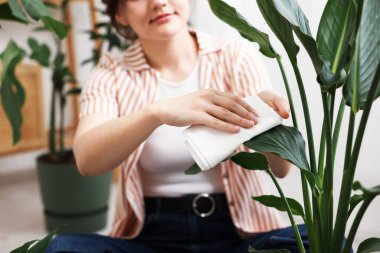 Evdeki güzel çiçek yapraklarını silen kadın, yakın plan.