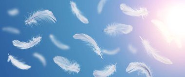 Mavi gökyüzünde uçuşan beyaz tüylü tüyler