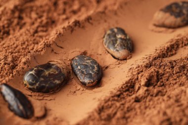 Toz üzerine doğal kakao çekirdekleri, yakın plan.