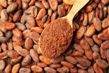 Tahta kaşıkta kakao tozu, fasulye, üst manzara.