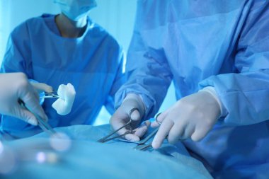 Tıbbi aletleri olan profesyonel cerrahlar ameliyathanede ameliyat yapıyorlar.