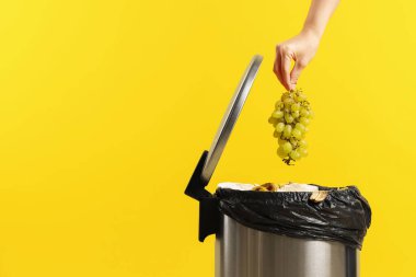 Sarı arka planda çöp kutusuna üzüm atan bir kadın, yakın plan. Metin için boşluk