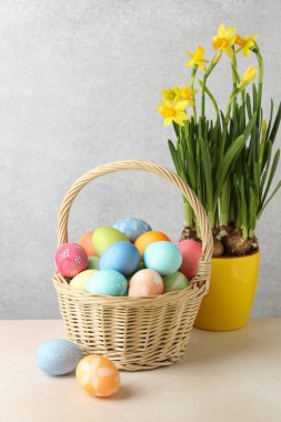 Hasır sepete boyanmış Paskalya yumurtaları ve bej masadaki güzel nergisler.