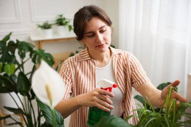 Güzel saksı bitkisine su püskürten bir kadın.