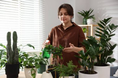 Güzel saksı bitkisine su püskürten bir kadın.