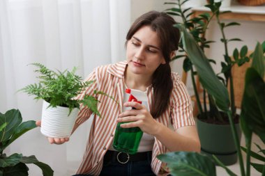 Güzel saksı bitkisine su püskürten bir kadın.
