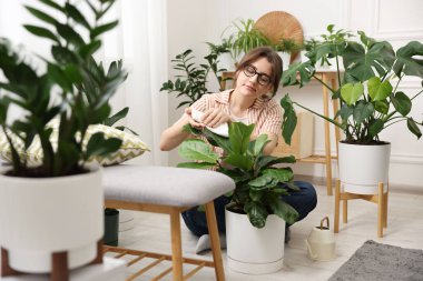 Evde yaprakları silen güzel bir kadın.
