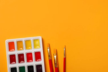 Suluboya palet ve turuncu arka planda fırçalar, düz. Metin için boşluk