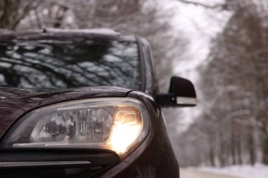 Yol kenarına park edilmiş modern araba ve kış günü ağaçlar, yakın plan.