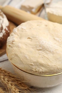 Tabakta taze maya hamuru, yakın plan.