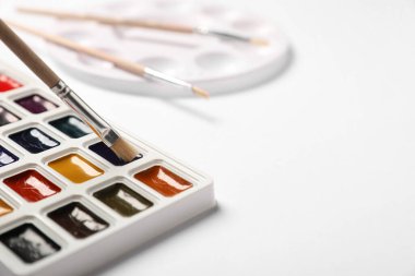 Beyaz arka planda suluboya boya fırça ve palet, yakın plan. Metin için boşluk