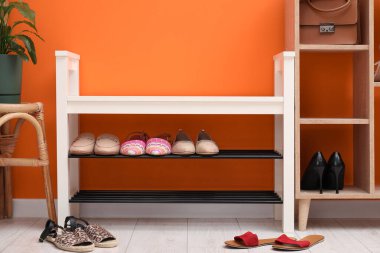 Ayakkabı deposu, farklı ayakkabılar, aksesuarlar ve turuncu duvarın yanındaki ev bitkisi.