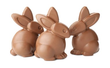 Beyaz tenli üç çikolatalı Paskalya tavşanı.