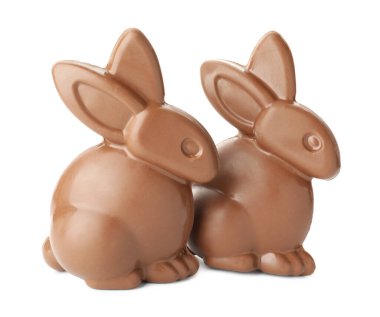 İki çikolatalı Paskalya tavşanı beyazlar içinde