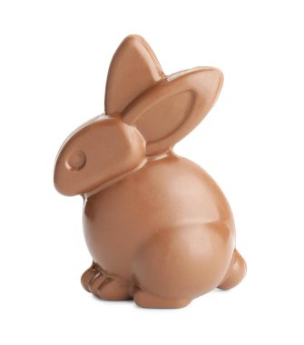 Bir çikolatalı Paskalya tavşanı bembeyaz
