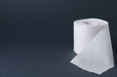 Gri arka planda tuvalet kağıdı rulosu, yakın plan. Metin için boşluk
