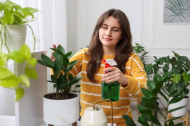 Bir kadın güzel saksı bitkisini suyla ıslatıyor.