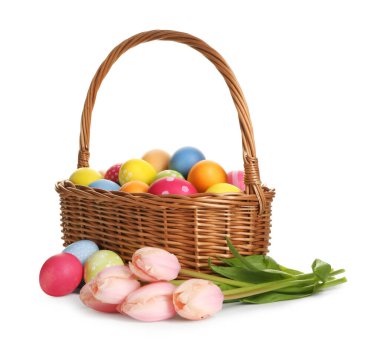 Hasır sepete boyanmış Paskalya yumurtaları ve beyaza izole edilmiş güzel laleler.