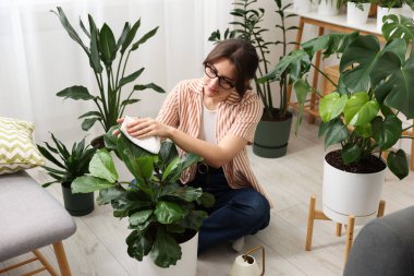 Evde yaprakları silen güzel bir kadın.