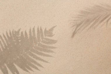 Tropikal yaprakların gölgesinde altın kum, üst manzara. Yaz zamanı.