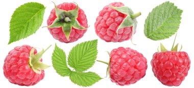 Taze ahududu ve yeşil yapraklar beyaz sette izole edilmiş.