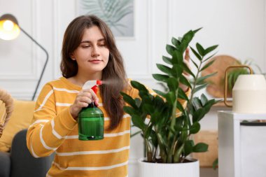 Bir kadın güzel saksı bitkisini suyla ıslatıyor.