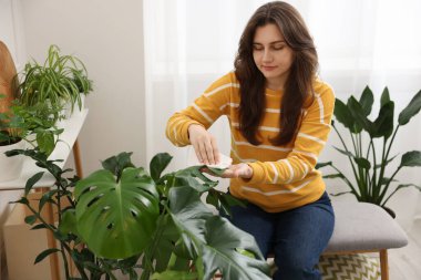 Evde yaprakları silen güzel bir kadın.