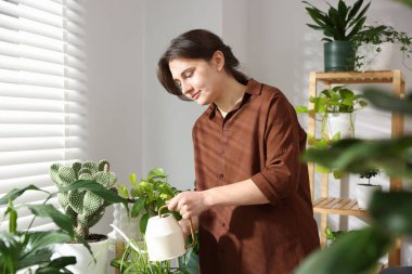 Evinin penceresinin yanında güzel saksıları sulayan bir kadın.