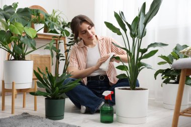 Evde yaprakları silen güzel bir kadın.