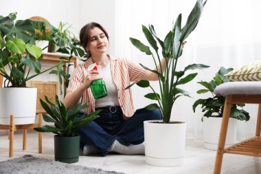 Güzel saksı bitkisine su püskürten bir kadın.