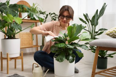 Evde yaprakları silen güzel bir kadın.