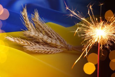 Ukrayna bayrağı, buğday ve yanan maytap kulakları. Ulusal bayram kutlaması