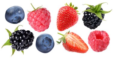 Beyaza izole edilmiş taze meyveler. Çilek, ahududu, yabanmersini ve böğürtlen seti