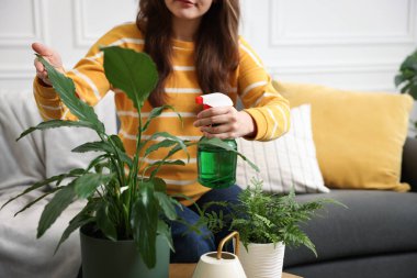 Bir kadın güzel saksı bitkisini suyla ıslatıyor, yakın plan. Metin için boşluk