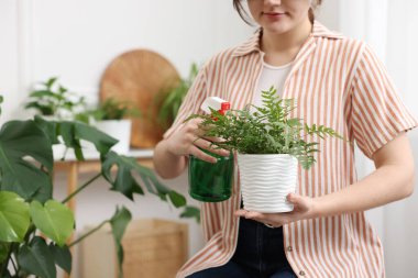 Güzel saksı bitkisine su püskürten bir kadın, yakın plan.