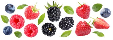 Beyaza izole edilmiş taze meyveler. Çilek, ahududu, yabanmersini ve böğürtlen seti