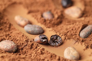 Toz üzerine doğal kakao çekirdekleri, yakın plan.