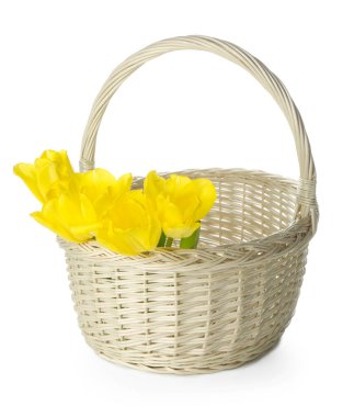 Sarı laleli hasır sepet beyaza izole edilmiş