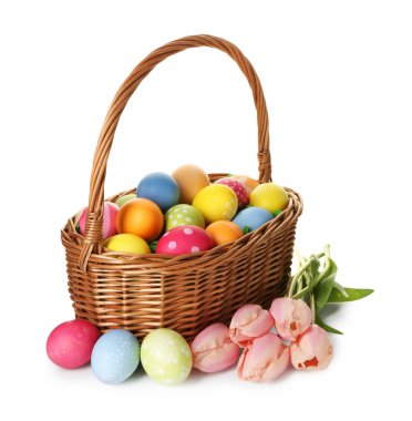 Hasır sepete boyanmış Paskalya yumurtaları ve beyaza izole edilmiş güzel laleler.