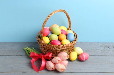 Hasır sepete boyanmış Paskalya yumurtaları ve açık mavi arka plana karşı gri ahşap masada güzel laleler.