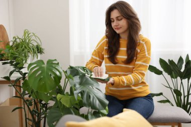 Evde yaprakları silen güzel bir kadın.