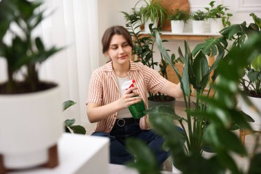 Güzel saksı bitkisine su püskürten bir kadın.