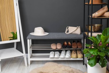 Ayakkabı bankı, farklı ayakkabılar, raf ünitesi, aksesuarlar, ayna ve ev bitkisi.