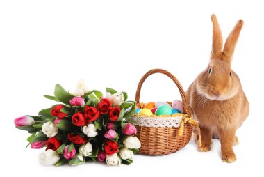 Şirin tüylü Paskalya tavşanı, hasır sepeti boyalı yumurta ve beyaz üzerine izole edilmiş çiçek buketi.