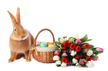 Şirin tüylü Paskalya tavşanı, hasır sepeti boyalı yumurta ve beyaz üzerine izole edilmiş çiçek buketi.