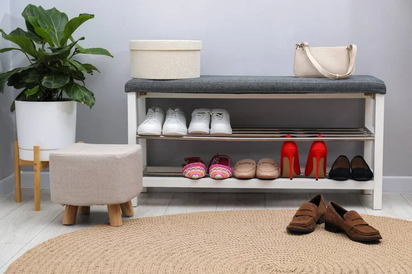 Ayakkabı bankı, farklı ayakkabı giysisi, çanta ve ev bitkisi. Açık gri duvarın yanında.