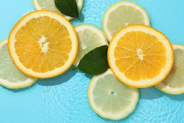 Açık mavi arka planda, sudaki yeşil yapraklar ve turunçgiller düzdü.